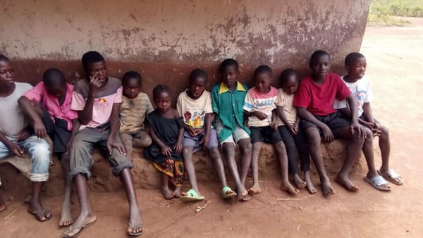 Shocking Barna Poll: 1 in 4 Christians No Longer Feel Called to Care for Orphans